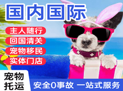 厦门高崎航空快递国际宠物托运 【国